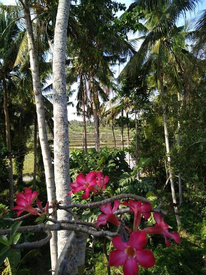 Kenari House Hotel Ubud Buitenkant foto